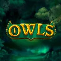 Owls game icon